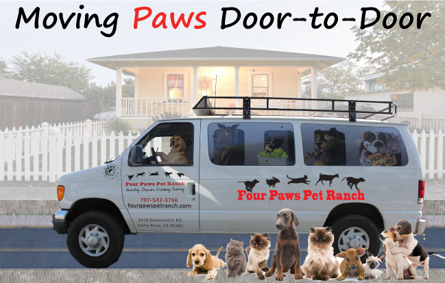 Door to door deals pet transportation