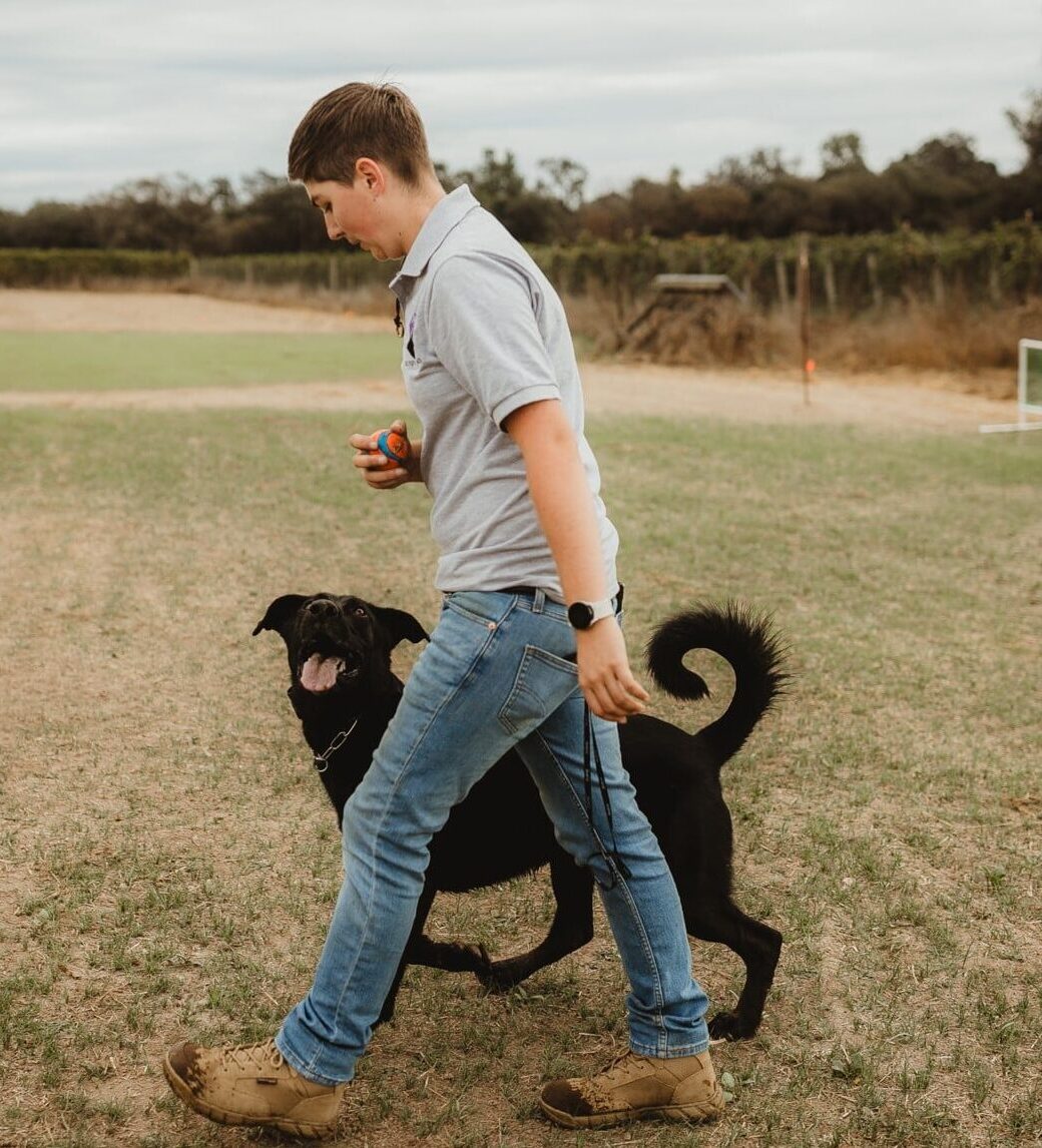 trainer walking with dog