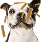 yak chews yak chews